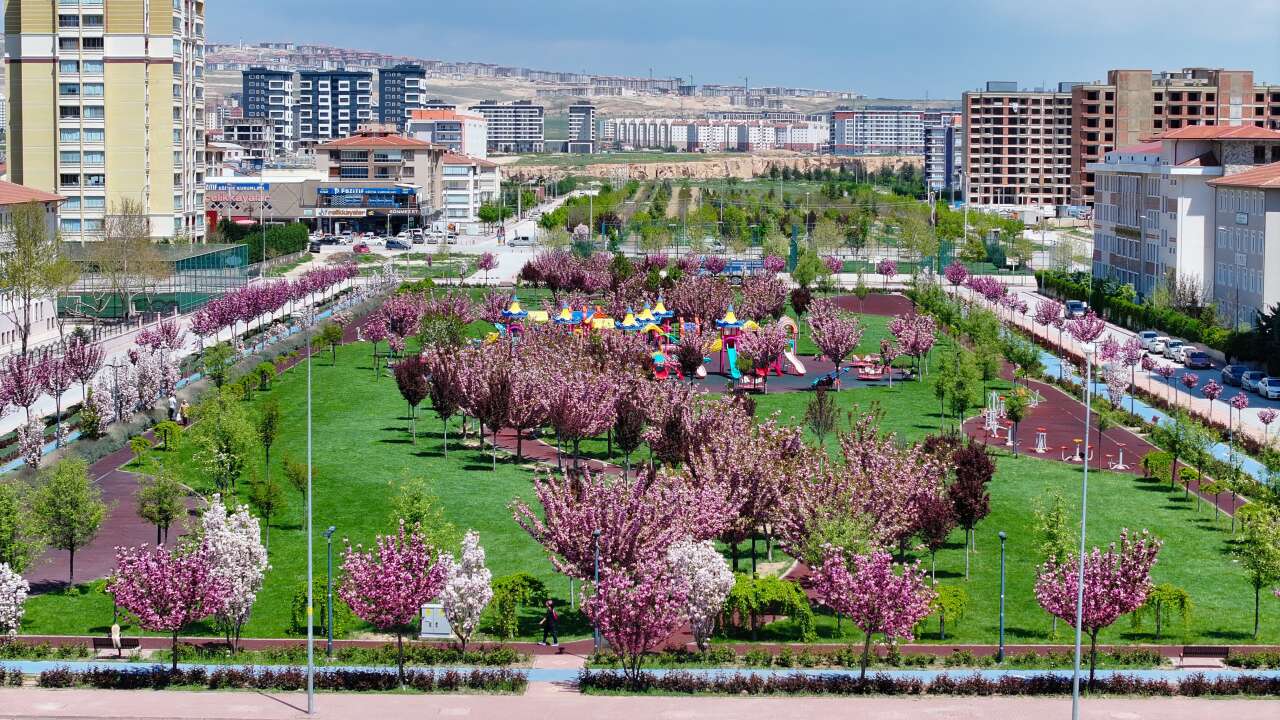 Burası Japonya değil, Konya! Sakuralar çiçek açtı 10